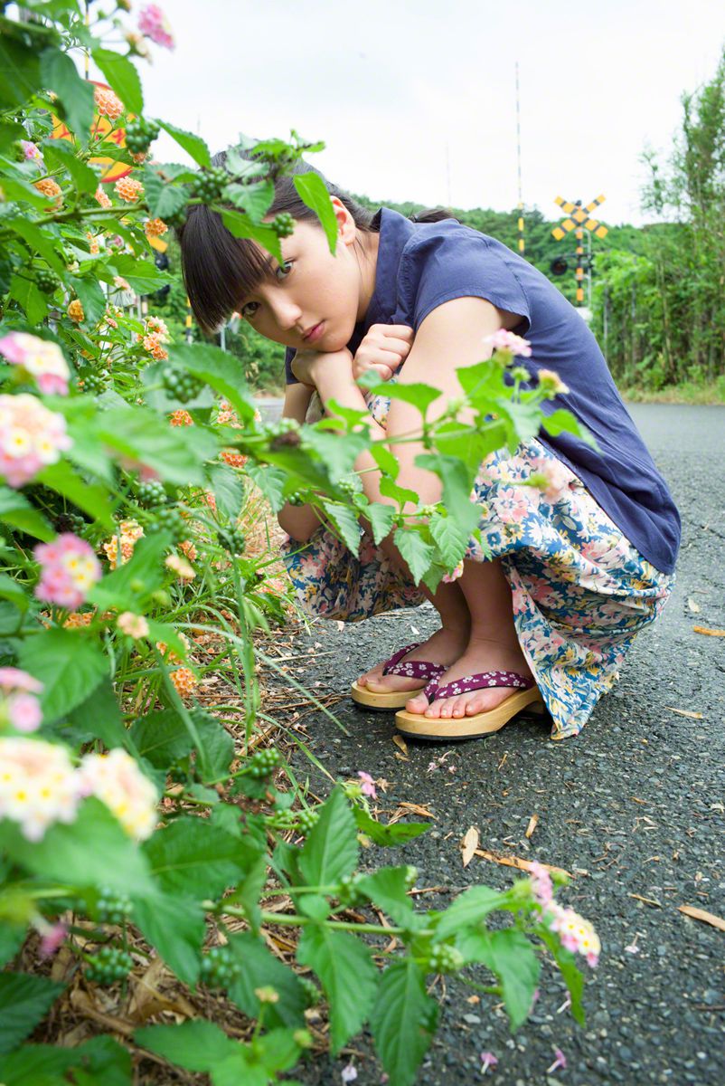 幸运四叶草